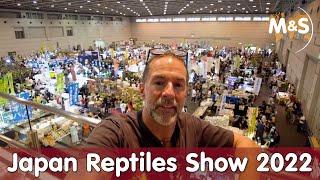 Japan Reptiles Show 2022 | Reptilien