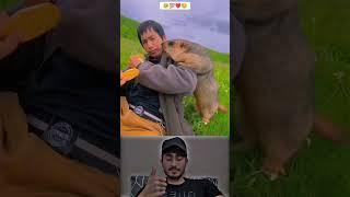 Sunwin | Link tải sunwin Respect animals ️#Ep_32