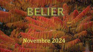 BELIER - Novembre 2024 ~ Un entourage soutenant !