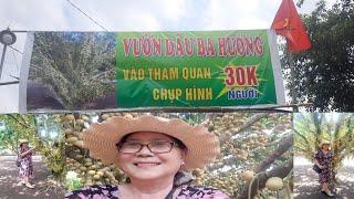 Kỷ Niệm Chơi Lể (30/4)Tham Quan Vườn Dâu Ba Hương Trái khủng Tuyệt đẹp/Bà Phạm Út