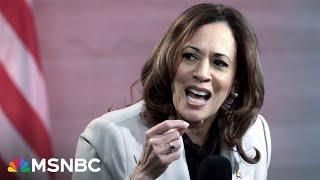 ‘It’s Harris’s race to lose’: Fmr. Bush advisor says Harris has positive signs under the radar