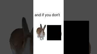 pls don't let this flop #slay #funny #bunny #rabbit #fyp #flop #flopera #meme #dance #rabbits