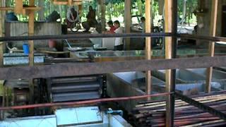 Smoked Rubber / latex production in South Thailand