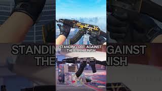 AK Elite Build x Fnatic HOLO  x Apeks HOLO | #cs  #cs2  #crafts  #update