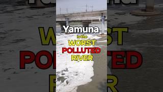 Yamuna is the worst polluted river?! #yamuna #delhi #shortsindia