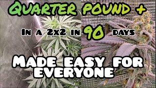 How to Grow A QUARTER POUND + in a 2x2 within 90 days MADE EASY FOR EVERYONE, #marshydrofc-3000