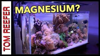 Reef Tank ( HOW IMPORTANT IS MAGNESIUM? ) And Other Great Stuff!