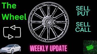 The Options Wheel Trading Strategy Weekly Update - 9/28/24 (Baby Party) #options  #tsll  #tna #soxl