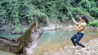 How to catch giant fish in flood water, harvest more papaya & eggplant to sell at the market.