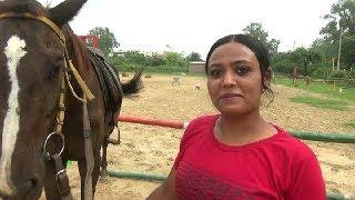 Cheema Horse Riding Training Club School  घुड़सवारी सींखे Horse Video घोड़ा विडियो