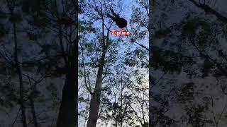 Zipline /so much fun #shortvideo #newyear2025 #newyearpicnic #zipline #viralshorts