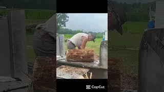 Two Guys One Splitter - Pine Edition (short) #firewood #diy #outdoors #trees