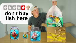 Buying Live Fish From The Worst Rated Websites