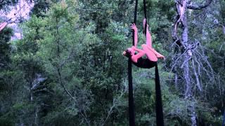 Billie Wilson-Coffey - Aerial Silks