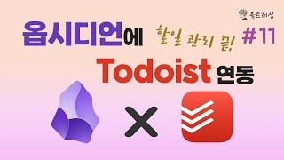 Todoist x 옵시디언 연동해서 할 일 관리 하기, 생산성 증가 투두이스트