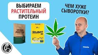 Преимущества растительных протеинов [соевый, рисовый, конопляный]