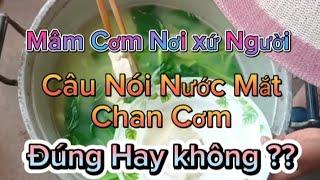 71.Cuộc sống dâu Việt ở Trung Quốc và lời đồn khổ cực nước mắt chan Cơm?  sự thật thế nào ?