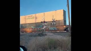 BNSF intermodal train passes by