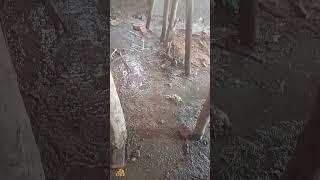 Slab Concreting Process | Slab Concreting | Concrete Pump | #slab #construction #viralvideo  #shorts
