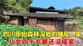 四川原始森林深处的独居人家，徒步悬崖栈桥才能到达，两个孩子40岁还没安家！【乡村阿泰】