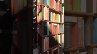Minecraft texture @AsianHalfSquat #shorts #gaming #minecraft #rtx