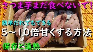 そのさつま芋まだ食べないでください！５～10倍甘くする方法がこれ！