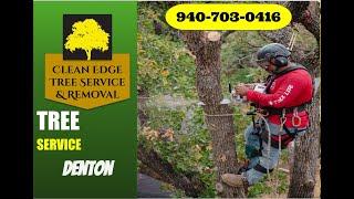 TREE REMOVAL, UNT - DENTON,TX - Clean Edge Tree Service & Removal - 940-783-7023
