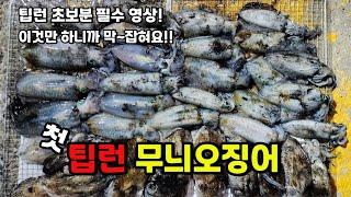 팁런 무늬오징어 너무 쉬운데.. 초보자분 입문자분 꼭 보세요!! 안보면 후회합니다..