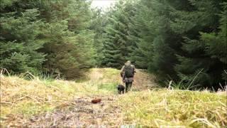 Longrange blog 144: Wind and rain