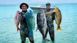 Dream Spearfishing In Crazy Weather!