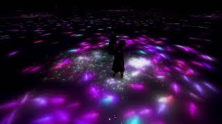 teamLab Planets (Tokyo, Toyosu) Achieves Approximately 130% Year-on-Year Increase in Ticket Sales...