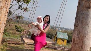 မမဝိုင် ပြင်ဦးလွင် … နှင်းဆီခြံသို့ (A Visit to May Myo Rose Garden Vlog)