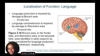 Chapter 2: Cognitive Psychology