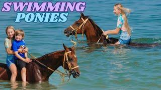 WE WENT SWIMMING WITH HORSES IN DUBAI!