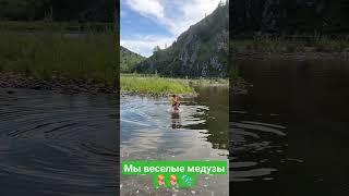 когда жара +40# лето# мама с Борей#🪼🪼веселые медузы