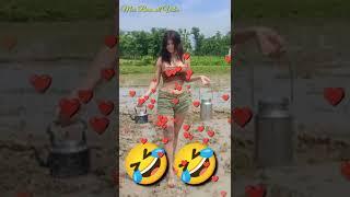 New Bodo Song Gwlwm Bwtwr Sopwi laibai New Viral Video Bodo Song Sandri Mwkhanga@AnilBosumatary121