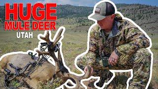 | Huge Velvet Mule Deer | First Bow Buck | My World Outdoors - Season 3 Full Story