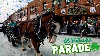 The Crowd Was CRAZY! - Rescued Clydesdales First Parade!!!