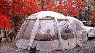 Fall camping in the transparent tent | Tesla Model Y docking tent | Korean solo camping Vlog