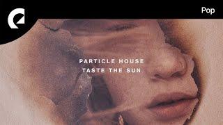 Particle House - Infected Ground