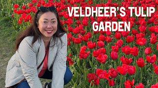 6 Million Tulips! - Veldheer's Tulip Garden Come Along With Us As We Explore