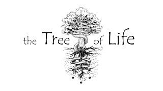 the Tree of Life ~ (without music)