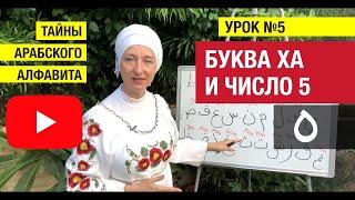 Тайны арабского алфавита. Урок 5. Буква Ха ه Нумерология букв #арабскийязык #арабскийалфавит #арабы