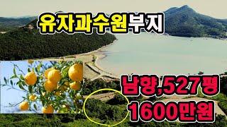 물건번호:914번,바닷가조망되는 남향,유자과수원최적지,매매가격1600만원,면적527평