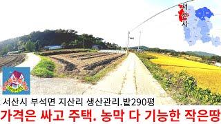 서산땅 전원주택, 가격은 싸고  건축 가능한 290평 생산관리지역 전