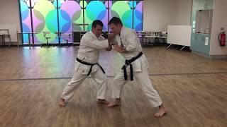 KARATE JUTSU - Close range transitions and Kansetsu waza