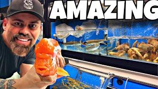 *UNBOXING* SOME AMAZING FISH - THIS SHIPMENT CAME IN PERFECT!