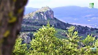 Olivos y Atalayas, Moclín y Colomera, Granada