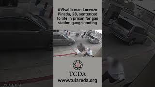 Life Sentence for Visalia California Gang Shooting #shorts #tularecounty