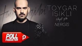 Toygar Işıklı - Nergis (Official Audio Video)